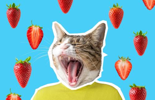 Personal branding per creativi: la guida facile che stavi aspettando