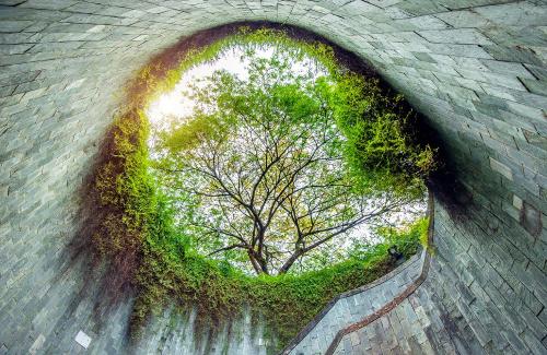 A piedi nudi nell’arte: 5 Parchi d’arte imperdibili in Italia